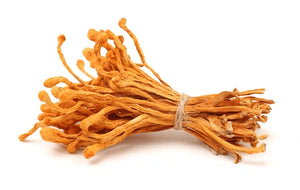 Cordyceps Mushroom