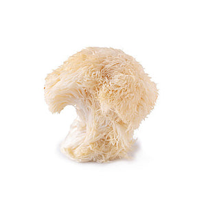 Lion's Mane Mushrooms